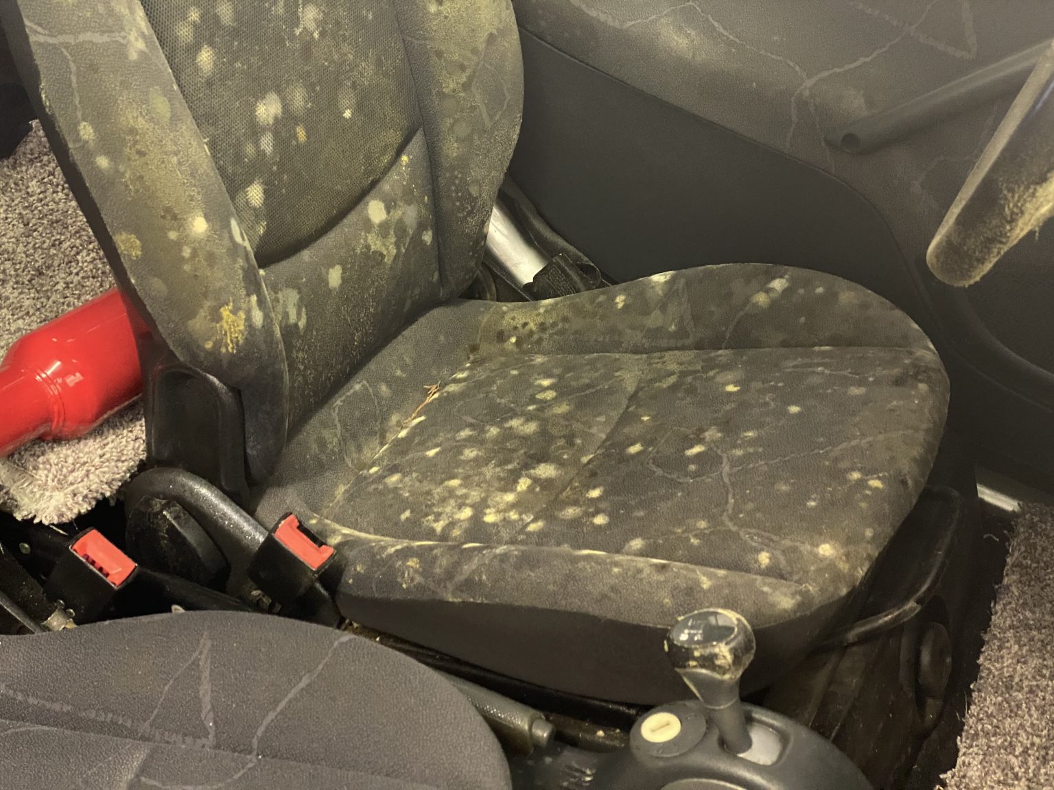 Condition-based interior cleaning for mold or mildew concerns