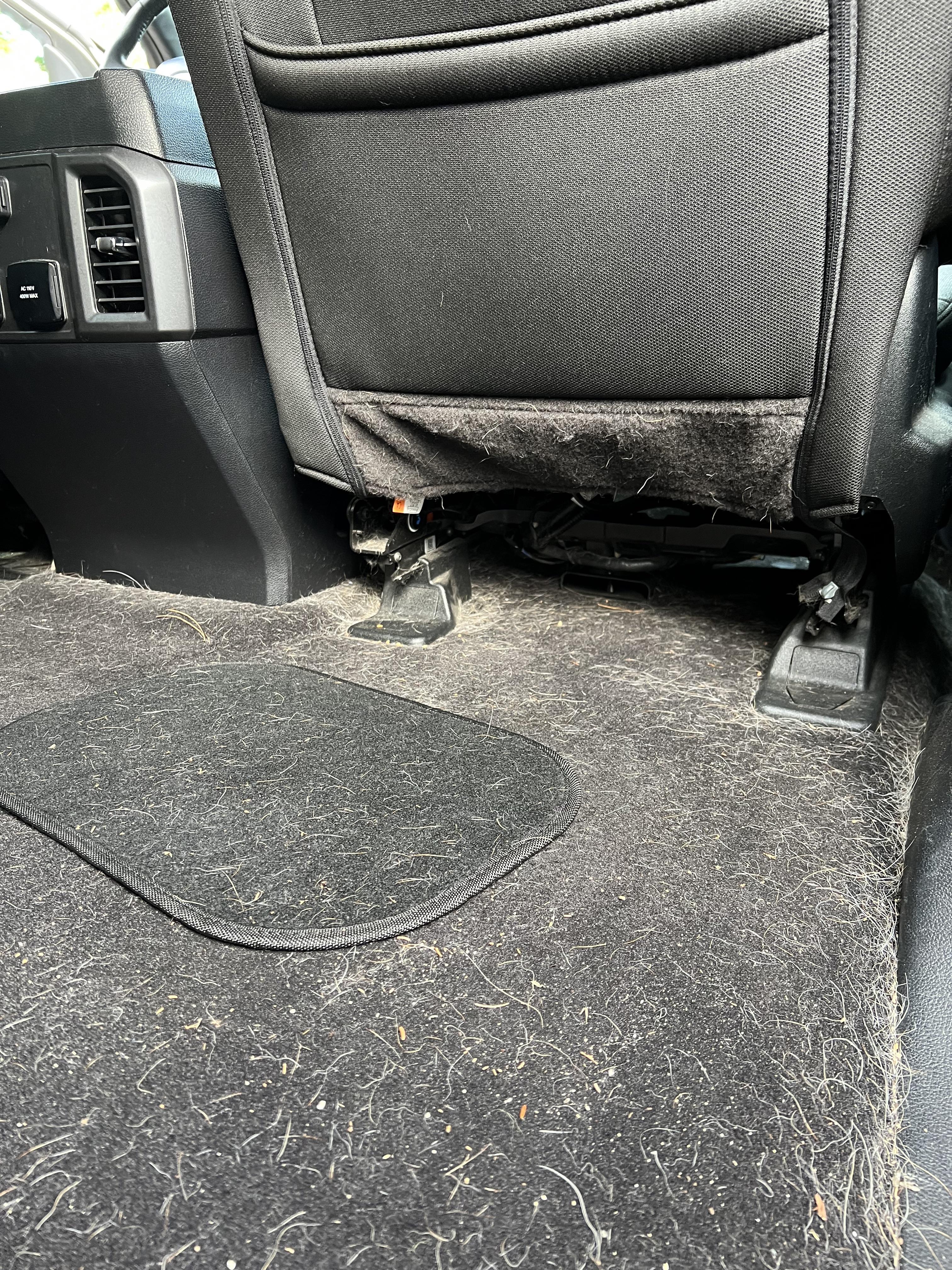 Pet hair removal from vehicle interior